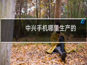 中兴手机哪里生产的