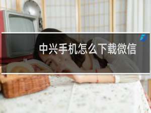 中兴手机怎么下载微信