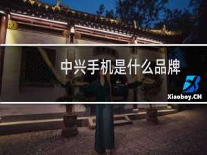 中兴手机是什么品牌