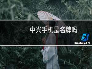 中兴手机是名牌吗