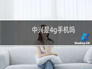 中兴是4g手机吗