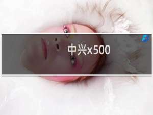 中兴x500