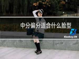 中分偏分适合什么脸型