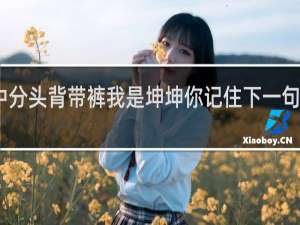 中分头背带裤我是坤坤你记住下一句对什么