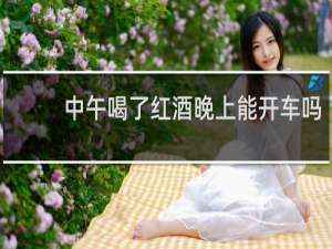 中午喝了红酒晚上能开车吗