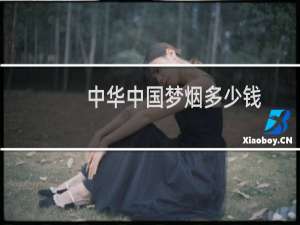 中华中国梦烟多少钱