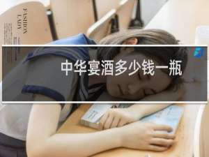 中华宴酒多少钱一瓶