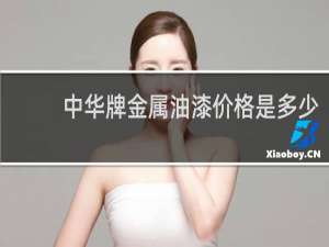 中华牌金属油漆价格是多少