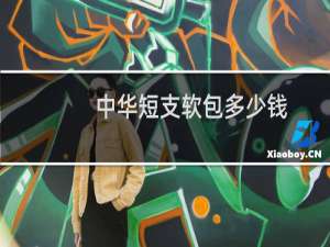 中华短支软包多少钱