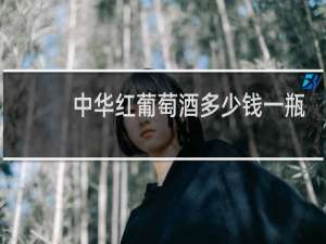 中华红葡萄酒多少钱一瓶