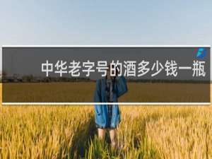 中华老字号的酒多少钱一瓶