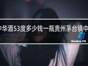 中华酒53度多少钱一瓶贵州茅台镇中华酒业