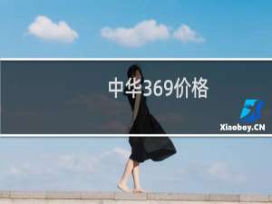 中华369价格