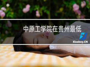 中原工学院在贵州最低多少分(含2023-2024专业分) 往年最低415分