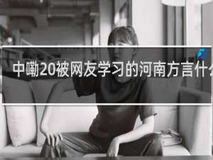 中嘞 被网友学习的河南方言什么梗