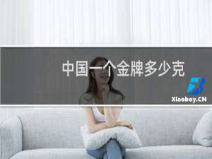 中国一个金牌多少克