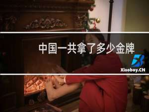 中国一共拿了多少金牌
