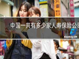 中国一共有多少家人寿保险公司