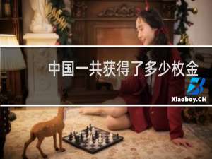 中国一共获得了多少枚金牌