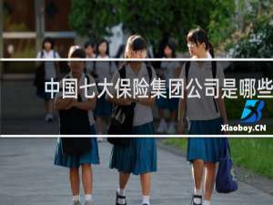 中国七大保险集团公司是哪些