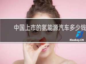 中国上市的氢能源汽车多少钱