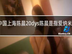 中国上海陈晨 dys陈晨是指爱纳米什么梗