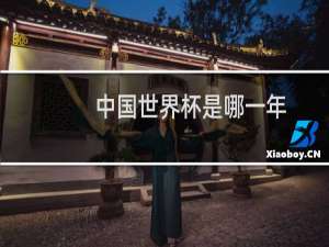 中国世界杯是哪一年