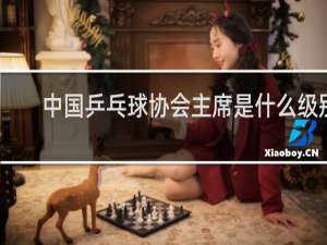 中国乒乓球协会主席是什么级别