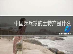 中国乒乓球的土特产是什么