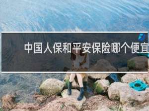 中国人保和平安保险哪个便宜