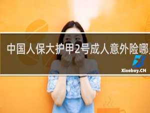 中国人保大护甲2号成人意外险哪里买