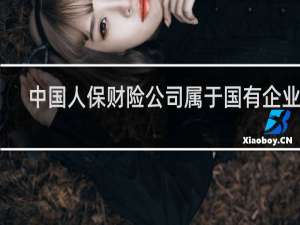 中国人保财险公司属于国有企业吗