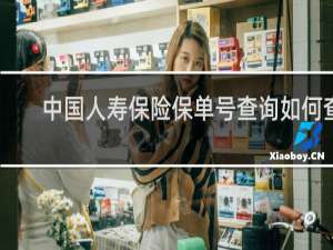 中国人寿保险保单号查询如何查
