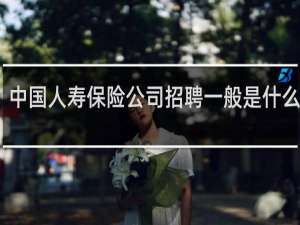 中国人寿保险公司招聘一般是什么性质