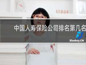 中国人寿保险公司排名第几名