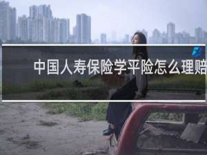 中国人寿保险学平险怎么理赔