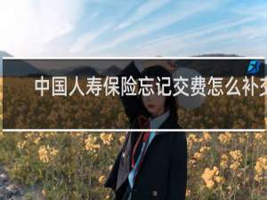 中国人寿保险忘记交费怎么补交