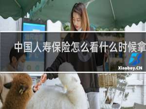 中国人寿保险怎么看什么时候拿钱