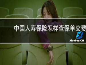 中国人寿保险怎样查保单交费