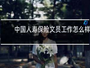 中国人寿保险文员工作怎么样