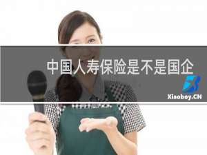 中国人寿保险是不是国企