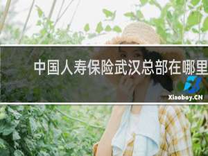 中国人寿保险武汉总部在哪里