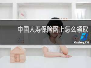 中国人寿保险网上怎么领取