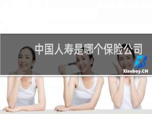 中国人寿是哪个保险公司