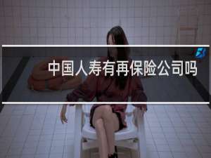 中国人寿有再保险公司吗