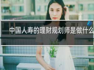 中国人寿的理财规划师是做什么的