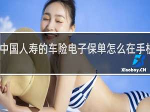 中国人寿的车险电子保单怎么在手机上查