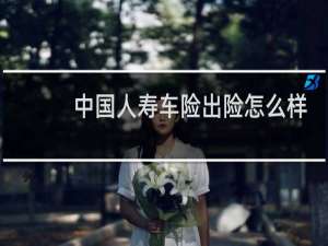 中国人寿车险出险怎么样