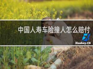 中国人寿车险撞人怎么赔付