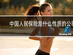 中国人民保险是什么性质的公司